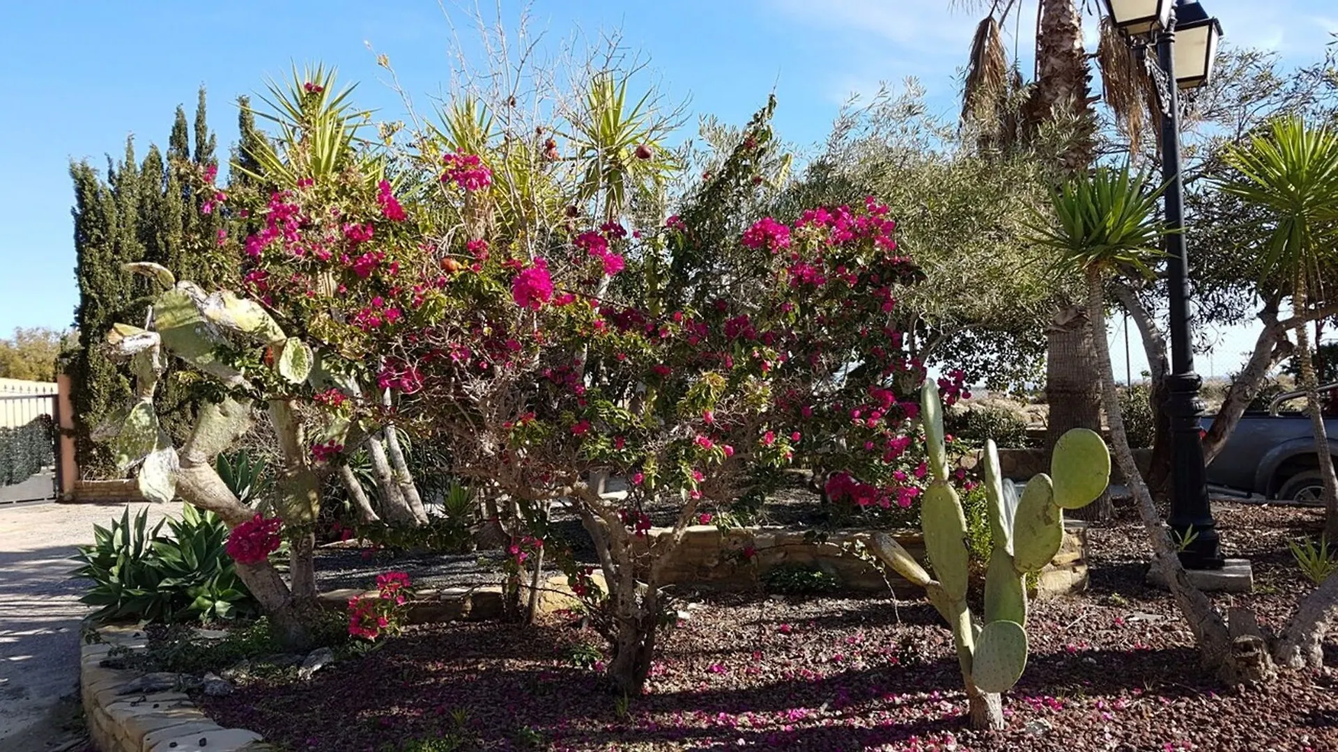 Cortijo De Don Victor - House With 2 Rooms In Vera, With Private Pool 0*, Vera